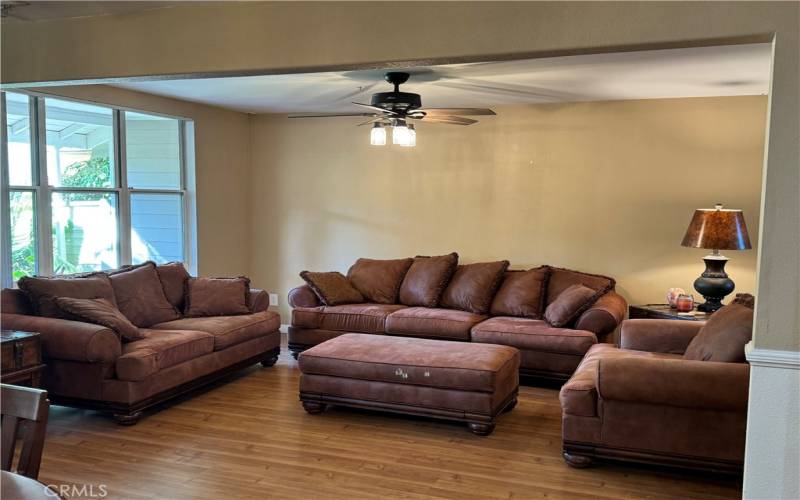 Living room,Garden window