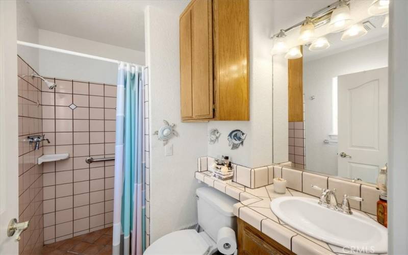 Home #2 - Primary bathroom with walk in shower and grab bars