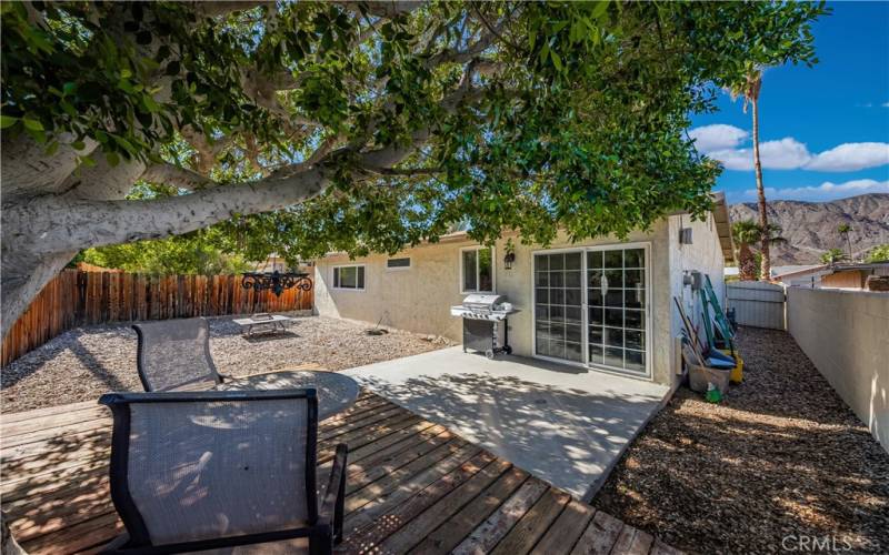 Backyard with a wonderful shade tree and blue skies.