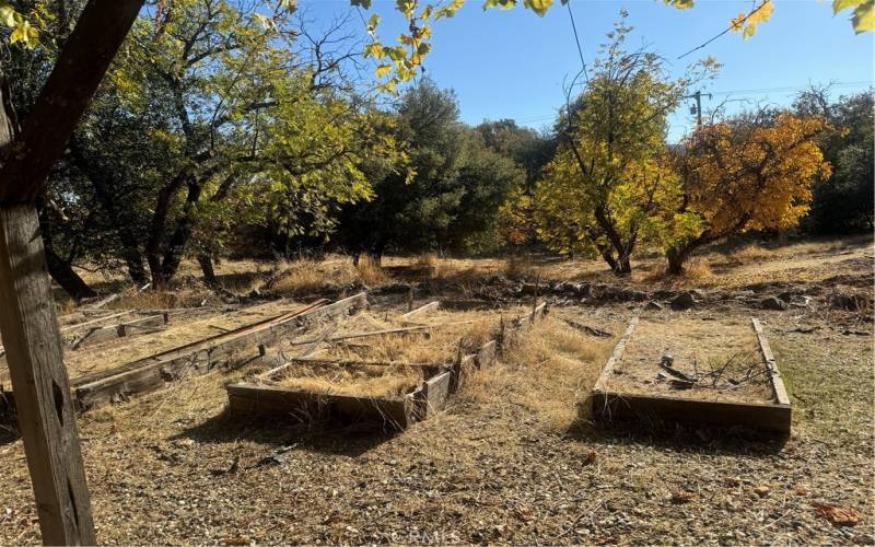 raised beds