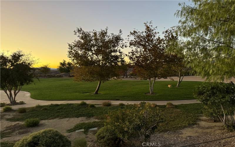 Community HOA park at sunset