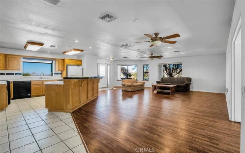 Living room/Kitchen