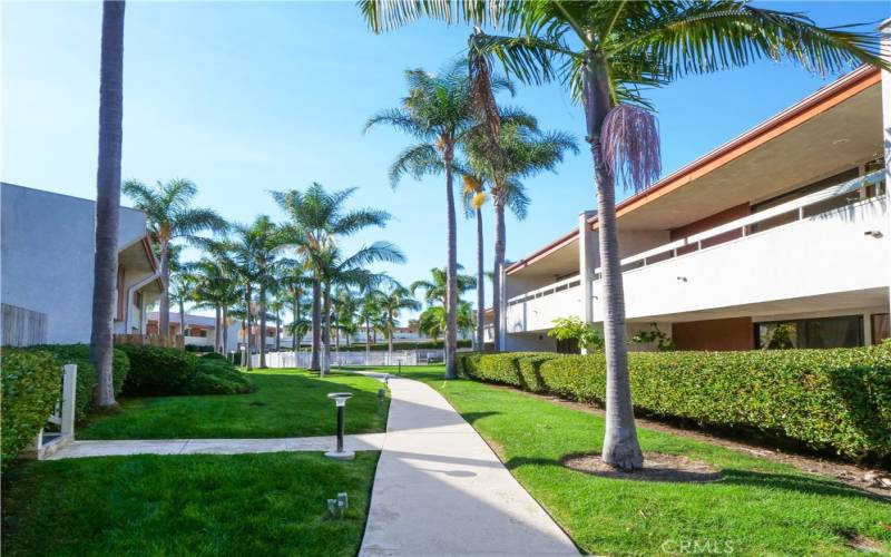 Front Walk Way to the Pool and Jacuzzi