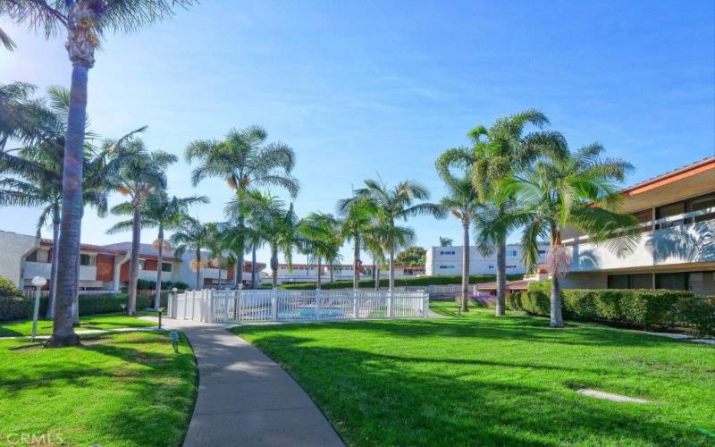 Walkway to the Pool and Spa