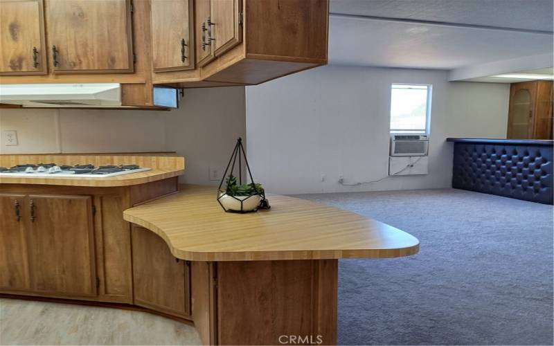 view of of the family room and the built-in bar from the kitchen hallway