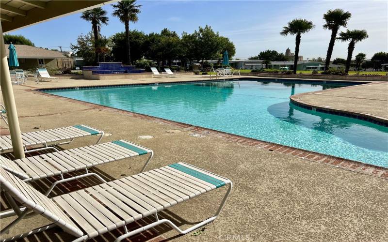 Pool and lounge chairs