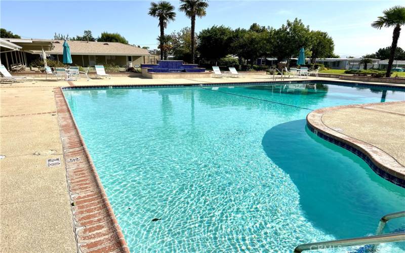 Relax at the beautiful pool!