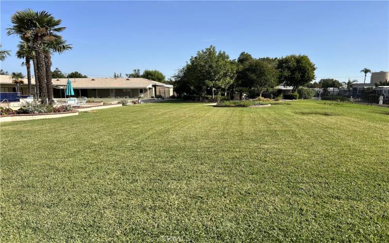 Expansive community lawn area, lovely grounds.