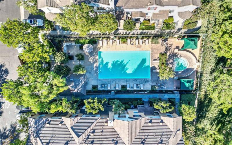 Beautiful Community Pool and Spa area