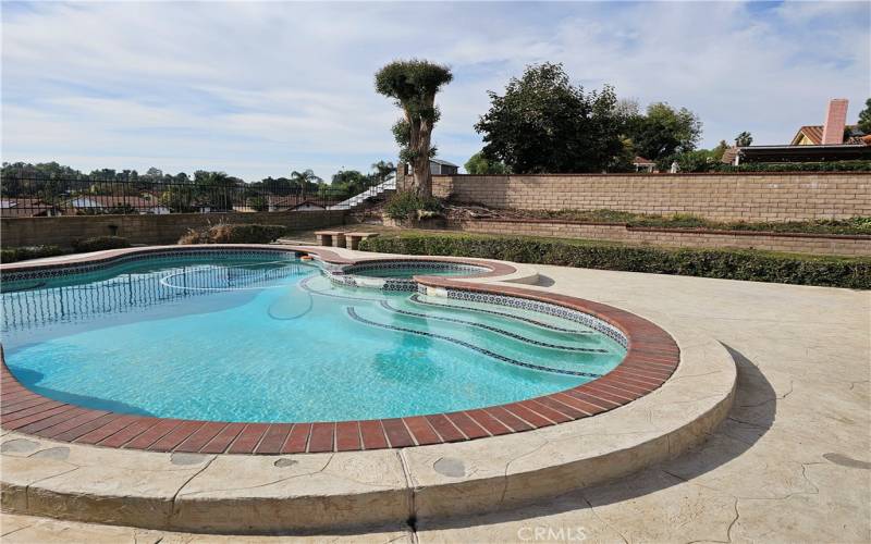 Backyard pool