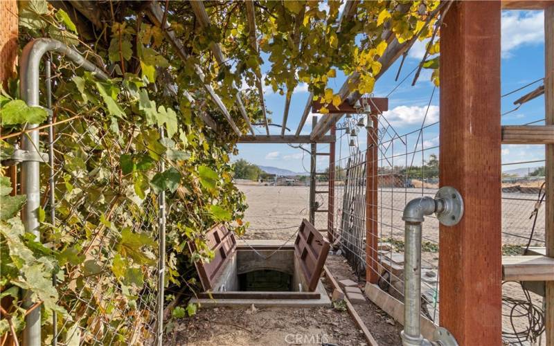 Underground Basement Entry