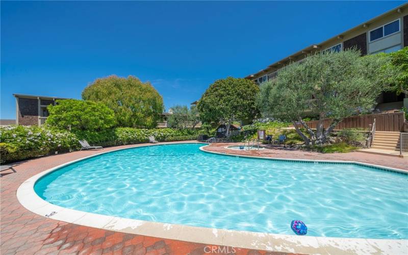 Beautiful community pool to lounge and swim.