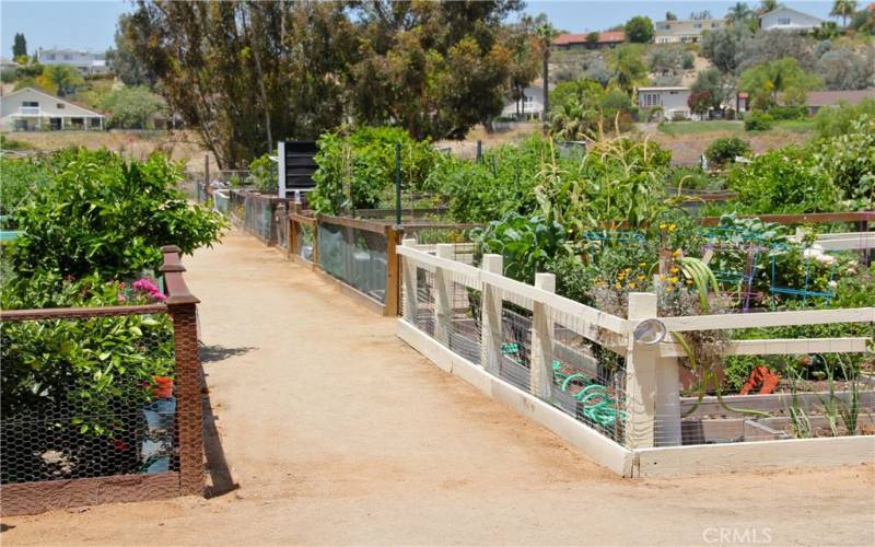 Community gardens.