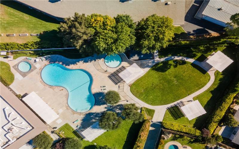 Community Pool - Aerial View