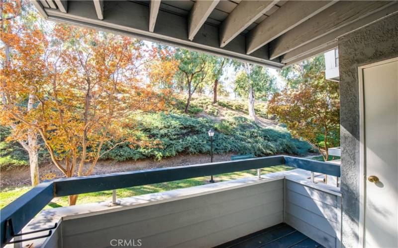 Balcony with Greenbelt Views