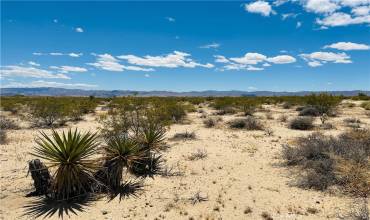 2 Milky Way Avenue, Joshua Tree, California 92252, ,Land,Buy,2 Milky Way Avenue,JT24231460