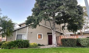 72 Shelley Avenue, Campbell, California 95008, 2 Bedrooms Bedrooms, ,2 BathroomsBathrooms,Residential,Buy,72 Shelley Avenue,ML81986233