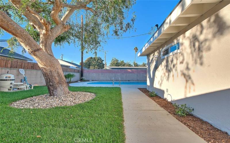 Backyard Grassy Area