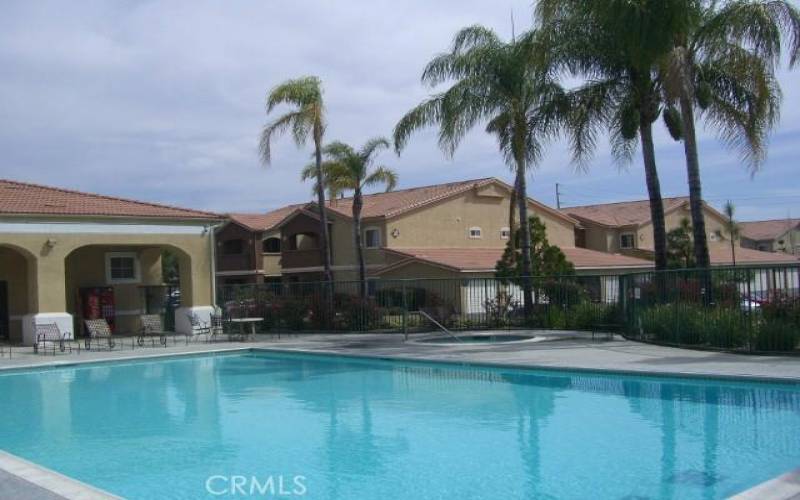 Pool and Jacuzzi