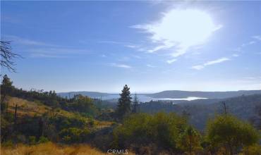 0 Canyon Creek Road, Berry Creek, California 95966, ,Land,Buy,0 Canyon Creek Road,OR24231787