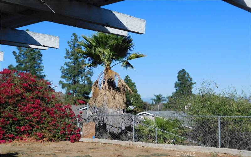 View from patio out to the valley.