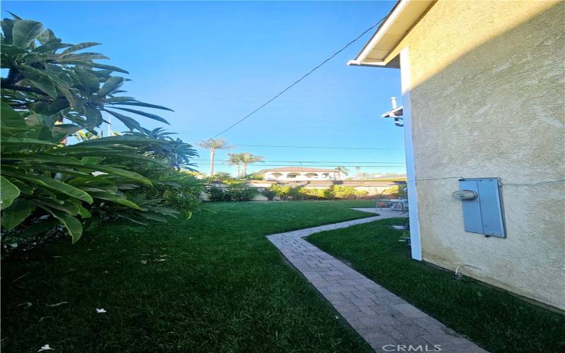 Sidewalk to back yard