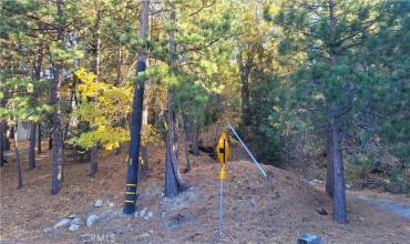 0 Water Drive, Crestline, California 92325, ,Land,Buy,0 Water Drive,WS24231993