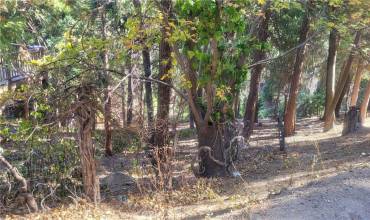 0 Bernard Drive, Crestline, California 92325, ,Land,Buy,0 Bernard Drive,WS24232008