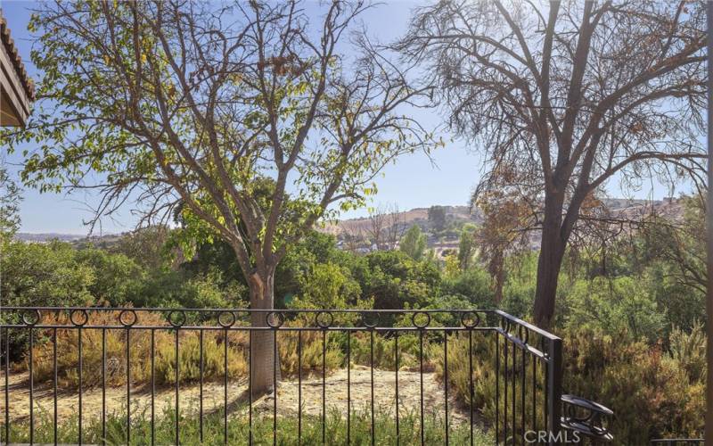 Backyard Balcony View