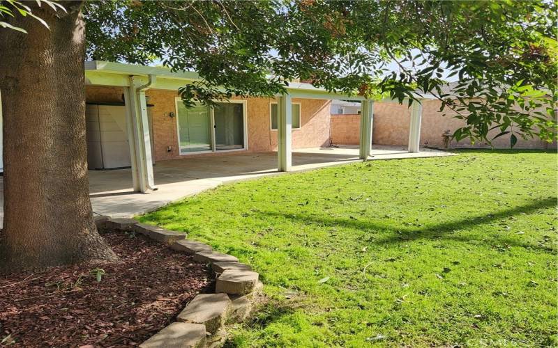 Beautiful back yard with shade tree