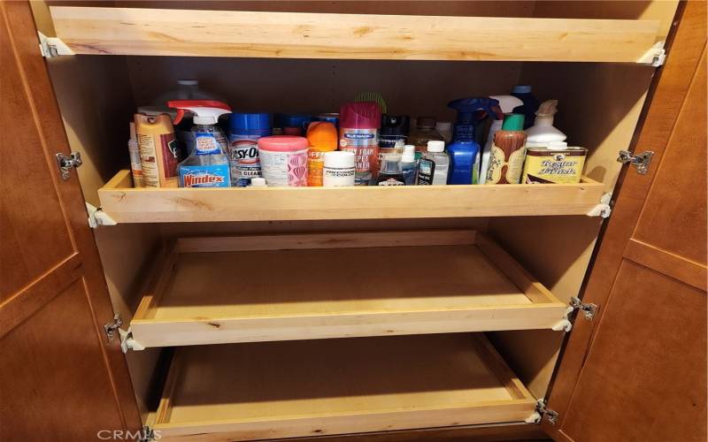 Pull out shelves