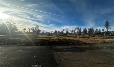 5539 Erin Way, Paradise, California 95969, ,Land,Buy,5539 Erin Way,SN24232243