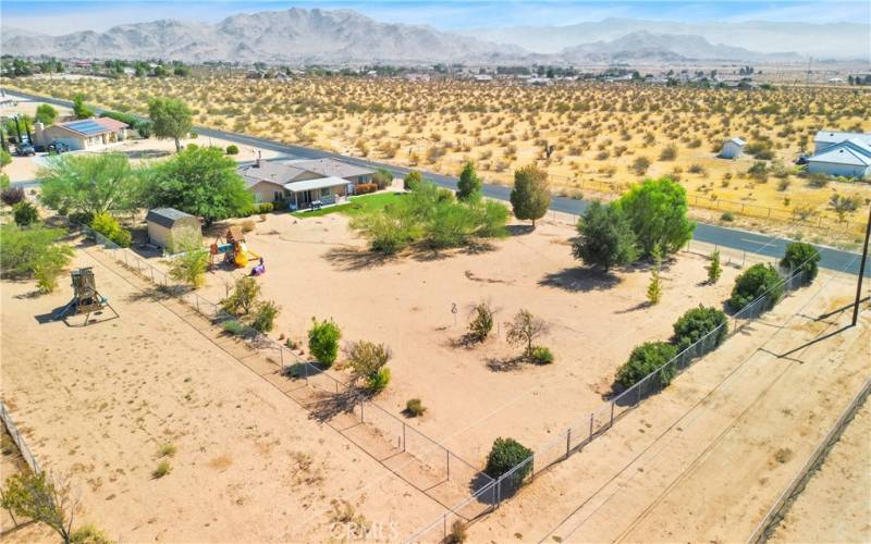 Fruit Trees on Acre lot