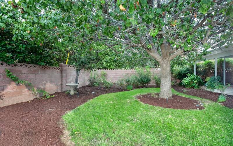 The exquisitely landscaped backyard will be a favorite entertainment destination with its large covered patio with lighting, green lawn, manicured flowerbeds, raised garden beds, mature shade trees, vintage David Austin roses, and gated RV access and parking.