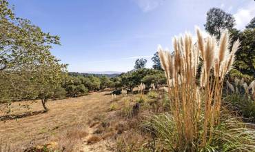 6775 Valle Pacifico, Prunedale, California 93907, ,Land,Buy,6775 Valle Pacifico,ML81986402