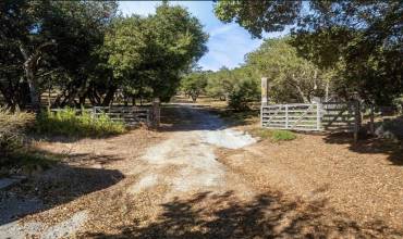 6785 Valle Pacifico, Prunedale, California 93907, ,Land,Buy,6785 Valle Pacifico,ML81986414