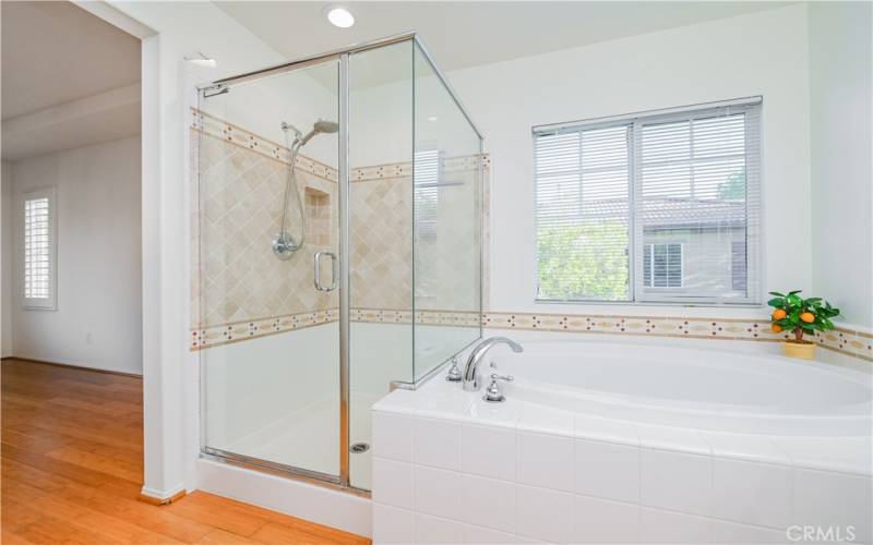 Master Bathroom Separate Shower & Tub