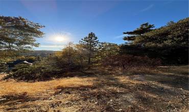 0 Grass Valley Road, Lake Arrowhead, California 92352, ,Land,Buy,0 Grass Valley Road,RW24232370