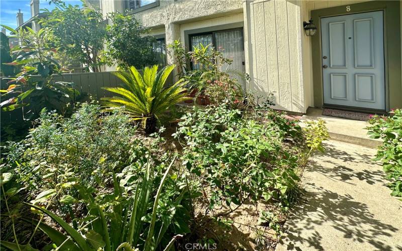 Front Yard Garden