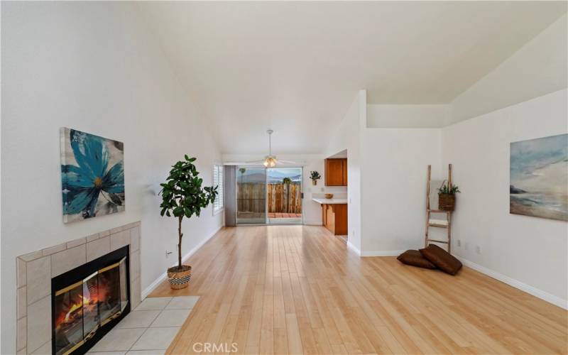 Living Room and Fireplace