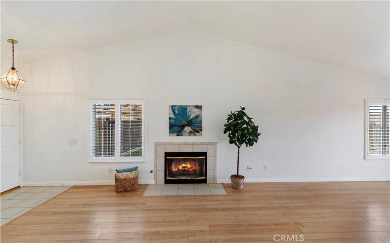 Living Room and Fireplace