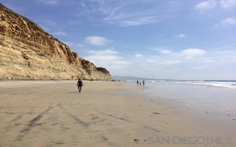 Torrey Pines State Beach