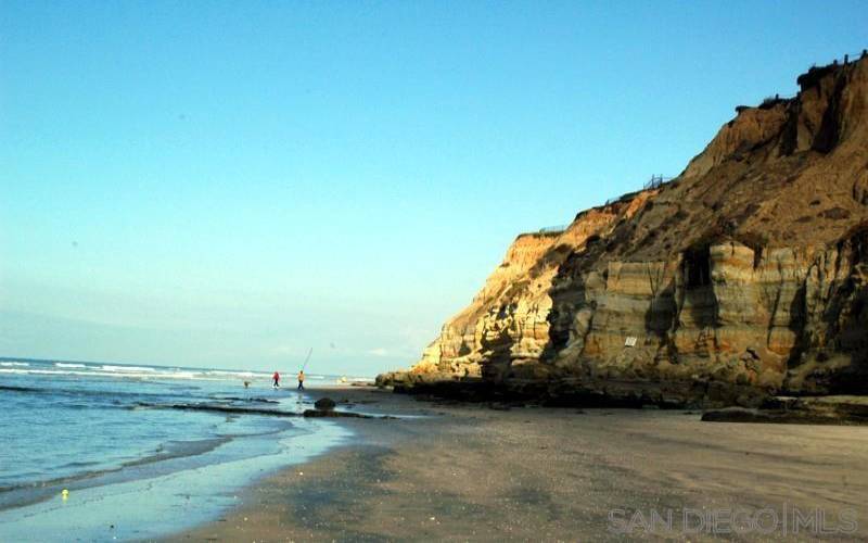 Del Mar Dog Beach