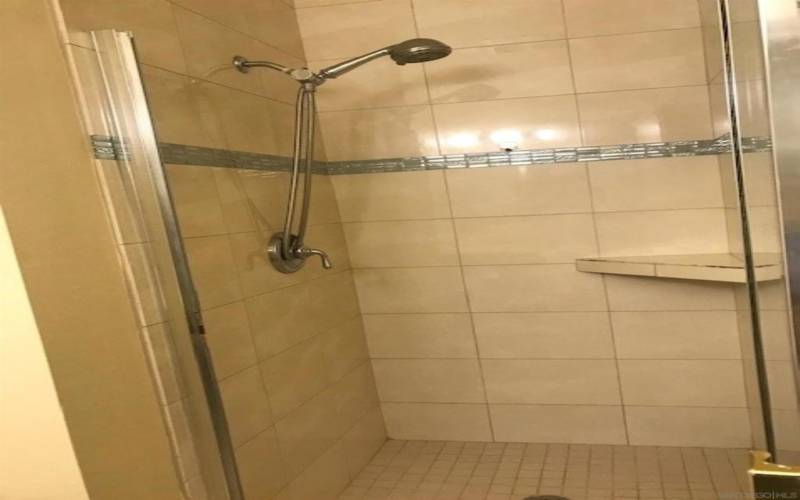 Primary Bath Shower