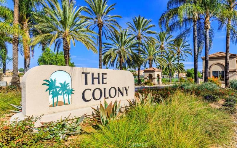 The Colony: A 55+ Golf Course Community