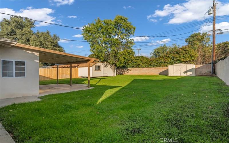 LARGE back yard with not one but TWO sheds!