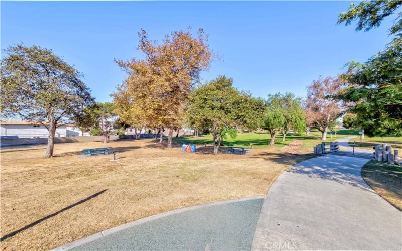 overlooking Delthorne Park