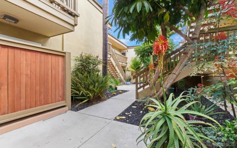 Walkway to the front door