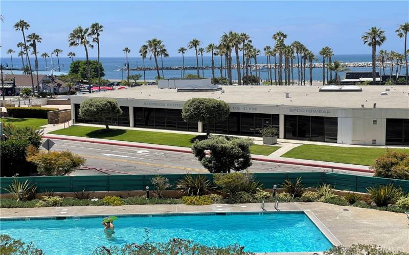 Pool and Spa Overlooking the Ocean