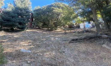 1 Chillon Drive, Crestline, California 92325, ,Land,Buy,1 Chillon Drive,HD24233541